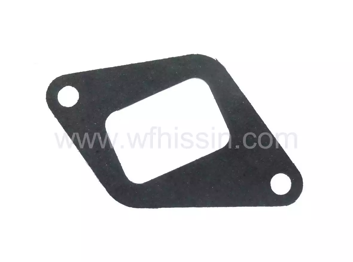 Intake manifold gasket YSD490